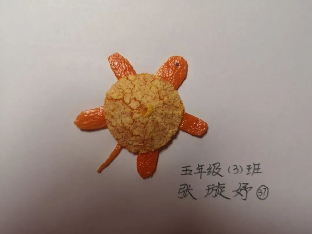 没有果壳不要紧,果皮也能来制作