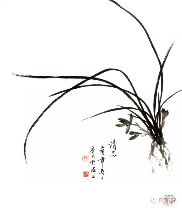 先画好兰叶和花朵后,用淡墨以篆书圆润的笔法画出根须,宜厚重,不轻飘