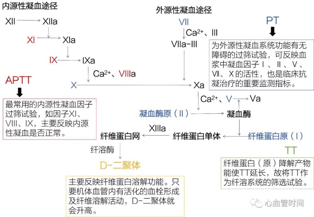 凝血五项不会读先收藏这张图