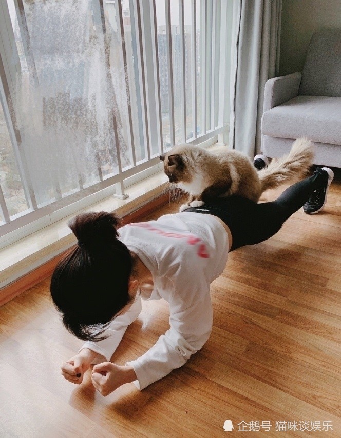 赖美云抱猫做瑜伽,素颜出镜气色好,网友:看姿势就知道