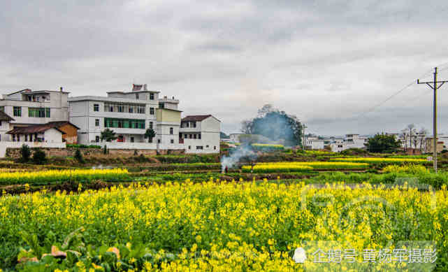 赣州于都县河田村,油菜花盛开的美丽乡村,故乡春天迷人的景色