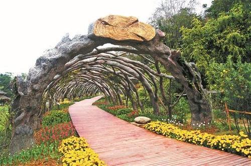 广西南宁药用植物园