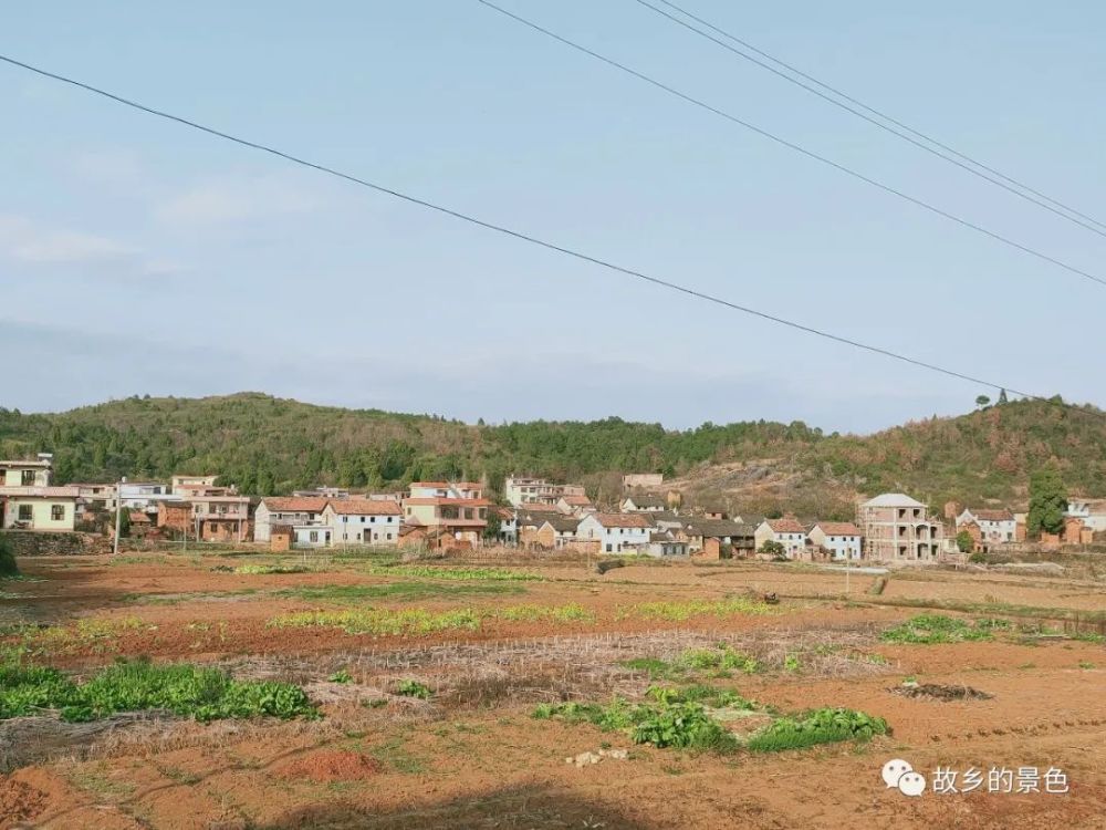 家乡的味道·最深的乡愁之上蓝田村