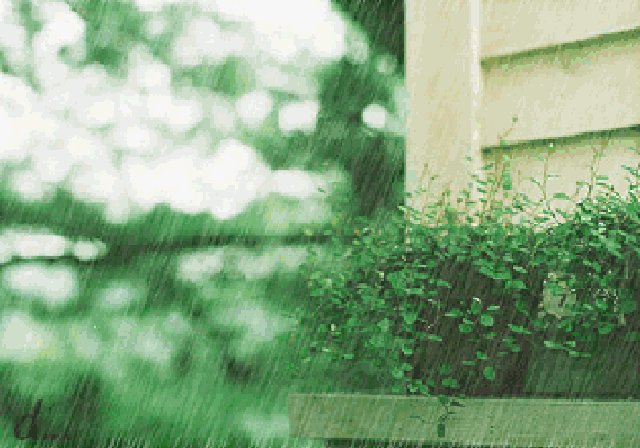 小雨,中雨,大雨……丽水接下来能看到太阳的只有这一天