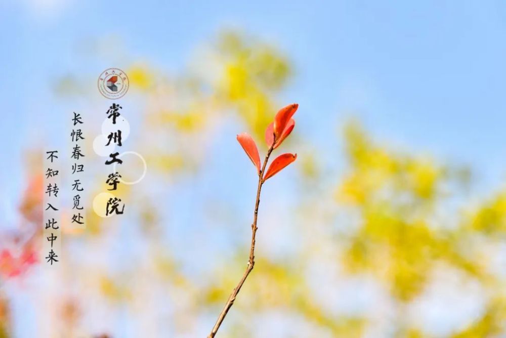 拦不住了,常工的春天苏醒了