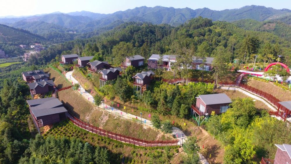 等春暖疫散,我们一起去六堡摘春茶