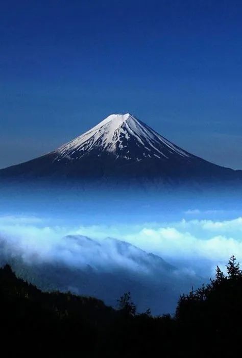 富士山野