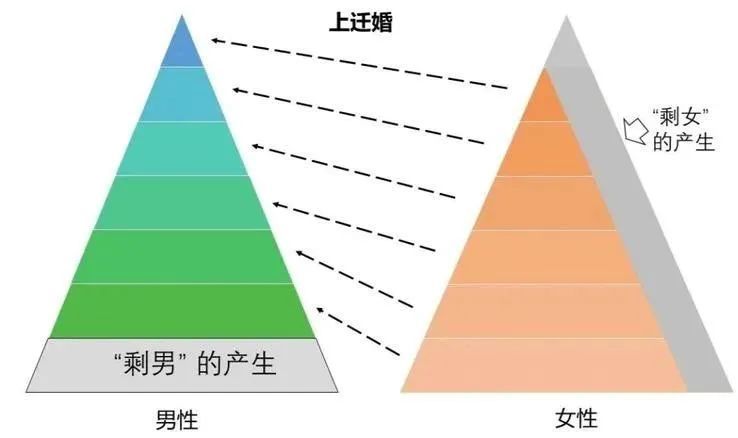 而在其组建的过程中,其选择以及剩男剩女的产生也是符合金字塔原理的