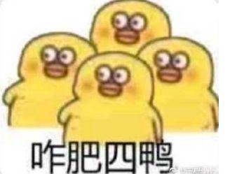 鸭鸭们真的是要满脸问号了.