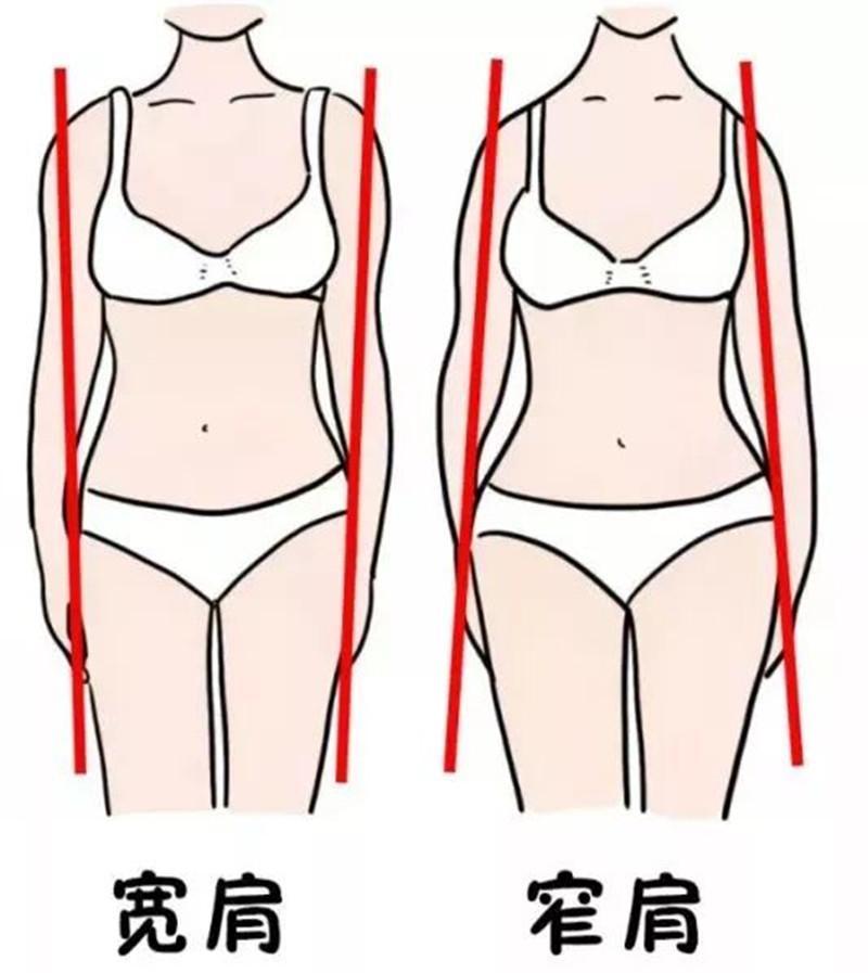 大家可以参考数据进行对比,不过前提是做到准确测量肩宽,避免数据出现