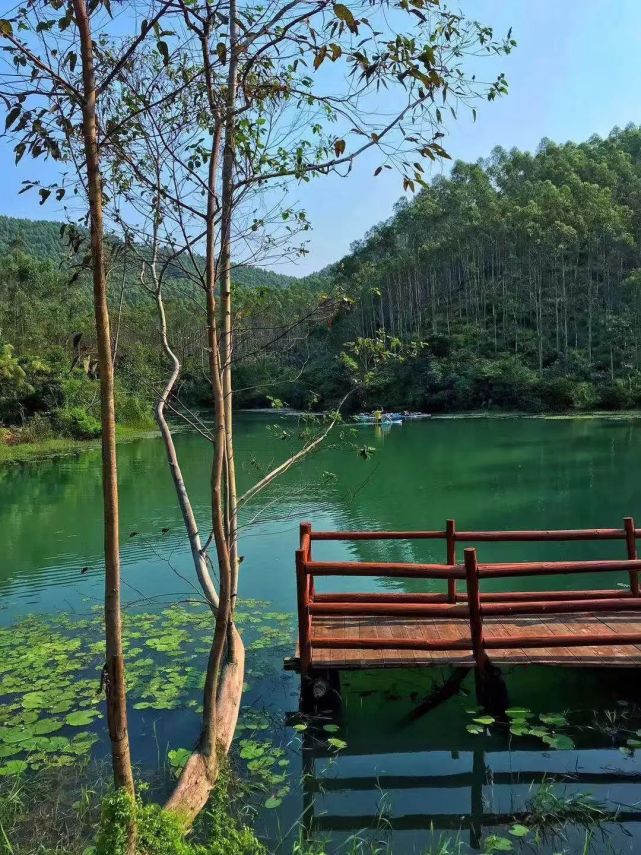 绿宝石·肇庆猫爪谷营地,湖光山色,小溪流水,度假休闲