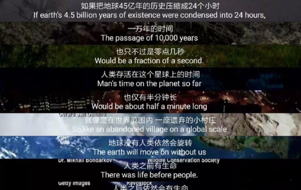 人类隔离才几天，河水清了，空气好了，动物回来了