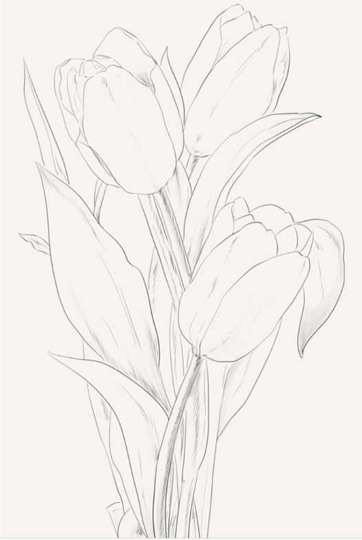 【素材】白描花卉和国画花卉,树木