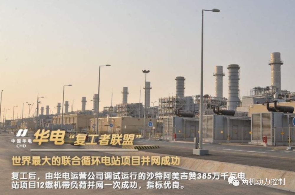 沙特吉赞人口_沙特人口分布图