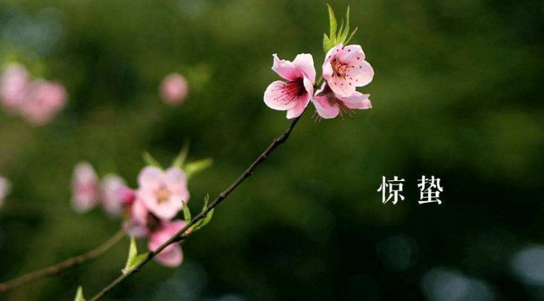 春居杂兴 一夜春雷百蛰空,山家篱落起蛇虫. 无端蚯蚓争头角,触破莓