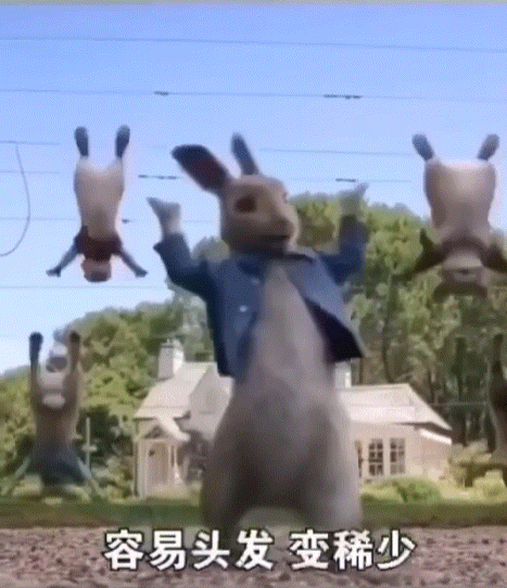 兔子动态表情包合集|成年人的世界没有容易二字