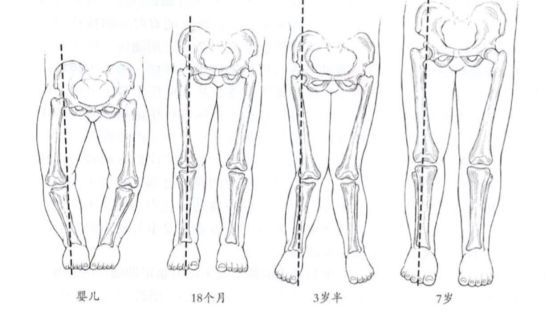 儿童下肢力线变化过程