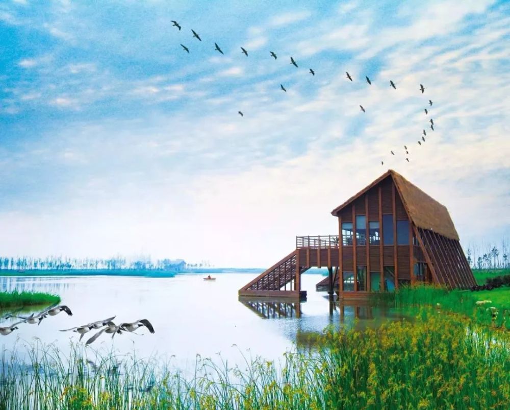 01- 上海崇明岛东滩湿地公园 东滩湿地公园内的鸟类保护区,是世界上