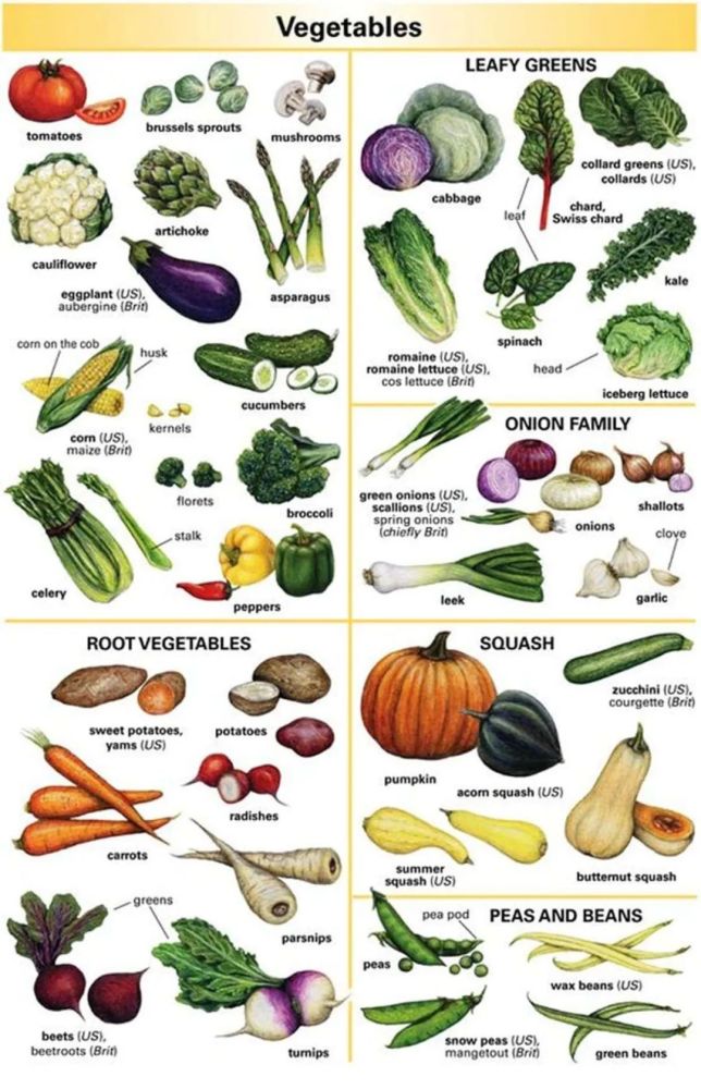 "买菜"英文怎么说?说成"buy vegetabls"会被老外笑话