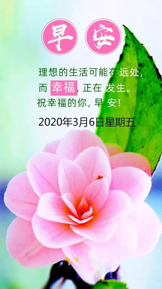 3月6日早安| 新的一天,新的起点!