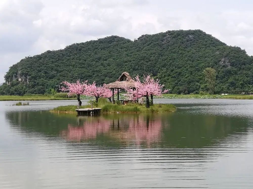 一片翠绿的盎然世界点缀着浪漫的粉色,传说中的桃花源便是如此吧