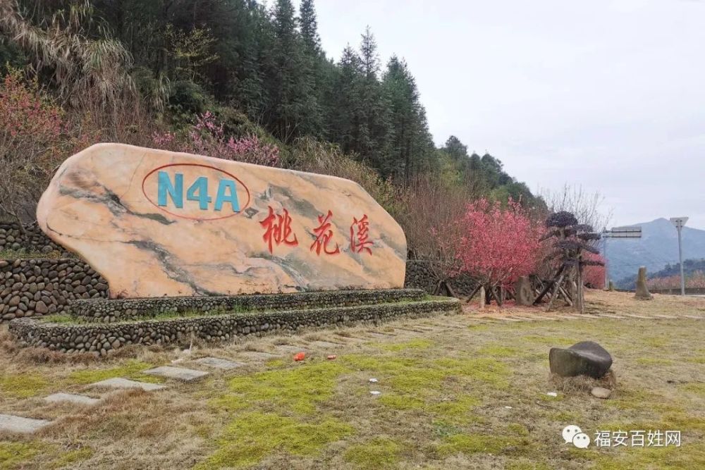 他山之石云游闽东大山风景桃花溪村