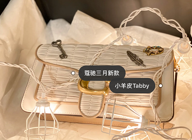 它来了!coach又出全新系列,当家花旦tabby可能要被迫下线啦!