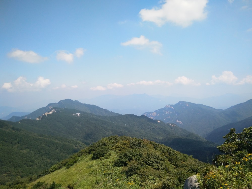 贵阳gdp破六千亿_贵阳兰花展一亿元兰花