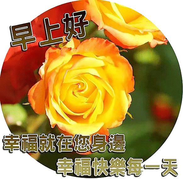 中老年表情包,亲切地问候,幸福就在您身边!