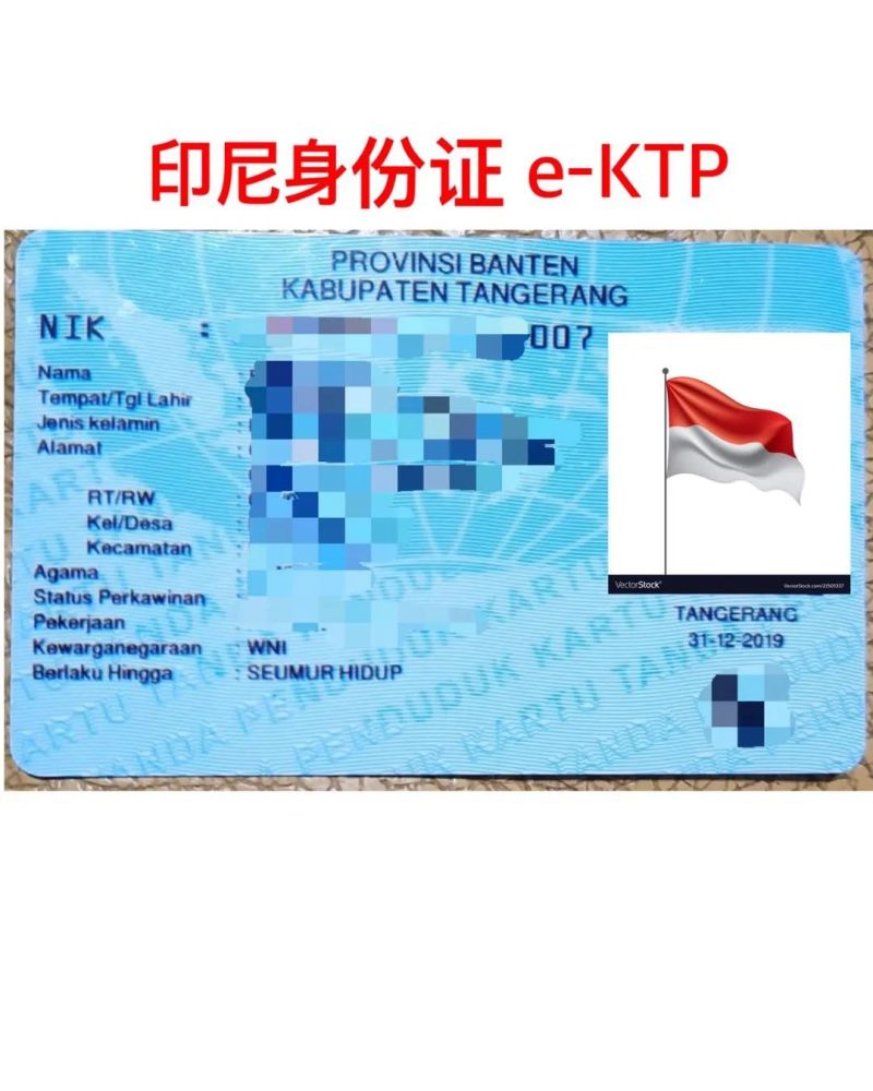 印度尼西亚护照,办理快无需登陆,可更名可开账户