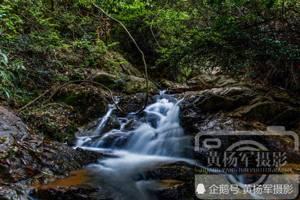 于都县红峰村的山间景色,幽林深谷龙凤尾还有溪流瀑布