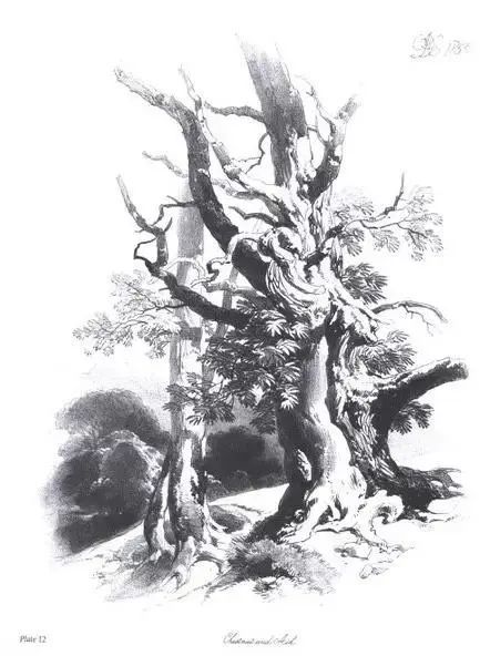 40张经典素描风景图,快来临摹吧