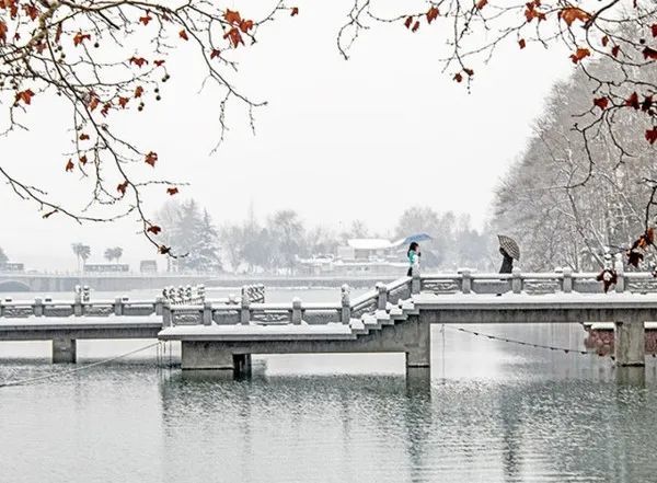 雪 凤 凰来源:河北朗诵艺术家协会作者:牧南朗诵(按朗诵顺序排序)