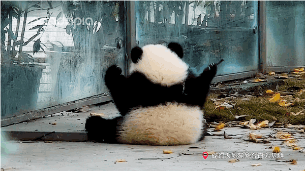 孩子静悄悄,必定在忙叨