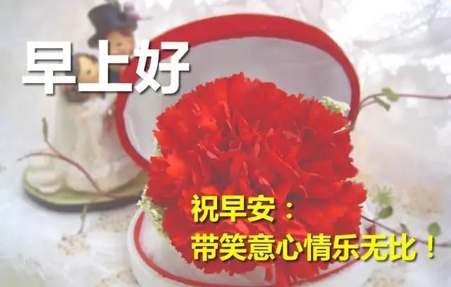 3月8日妇女节早上好最漂亮的问候祝福动态图片微信群发的祝福美图带字