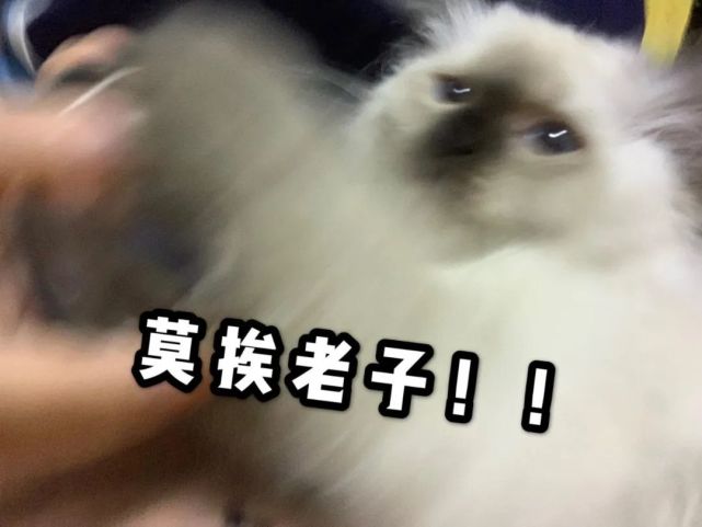 莫挨老子!