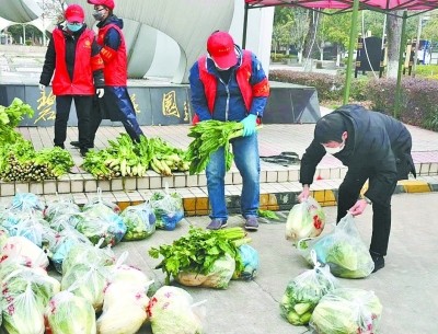 一个月帮农户卖菜30万斤|熊正鹏|辛安渡