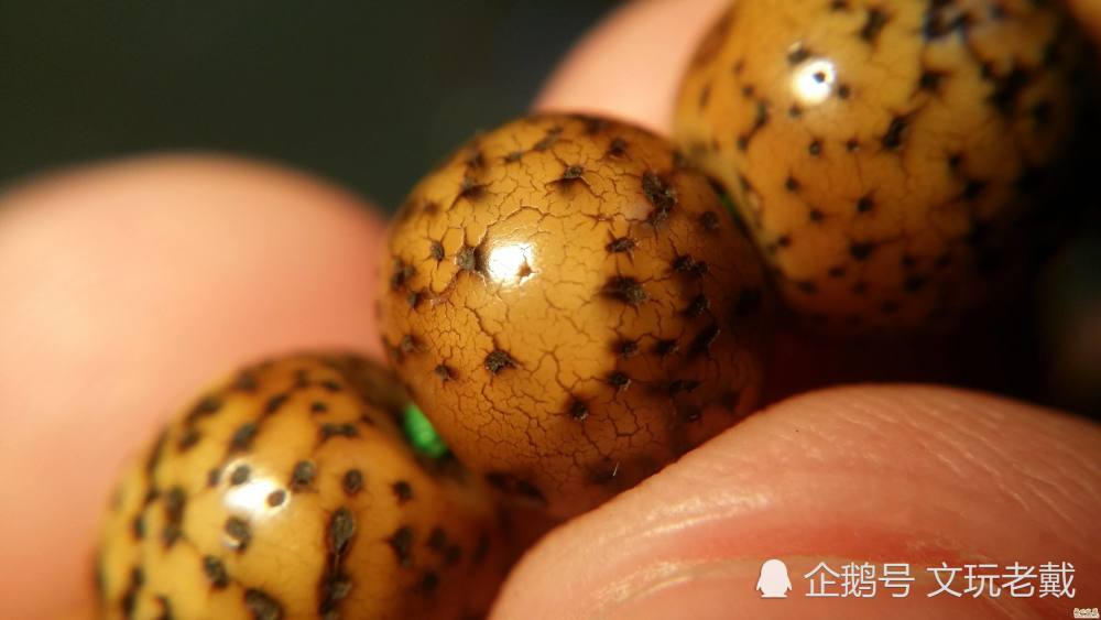 开片星月菩提子