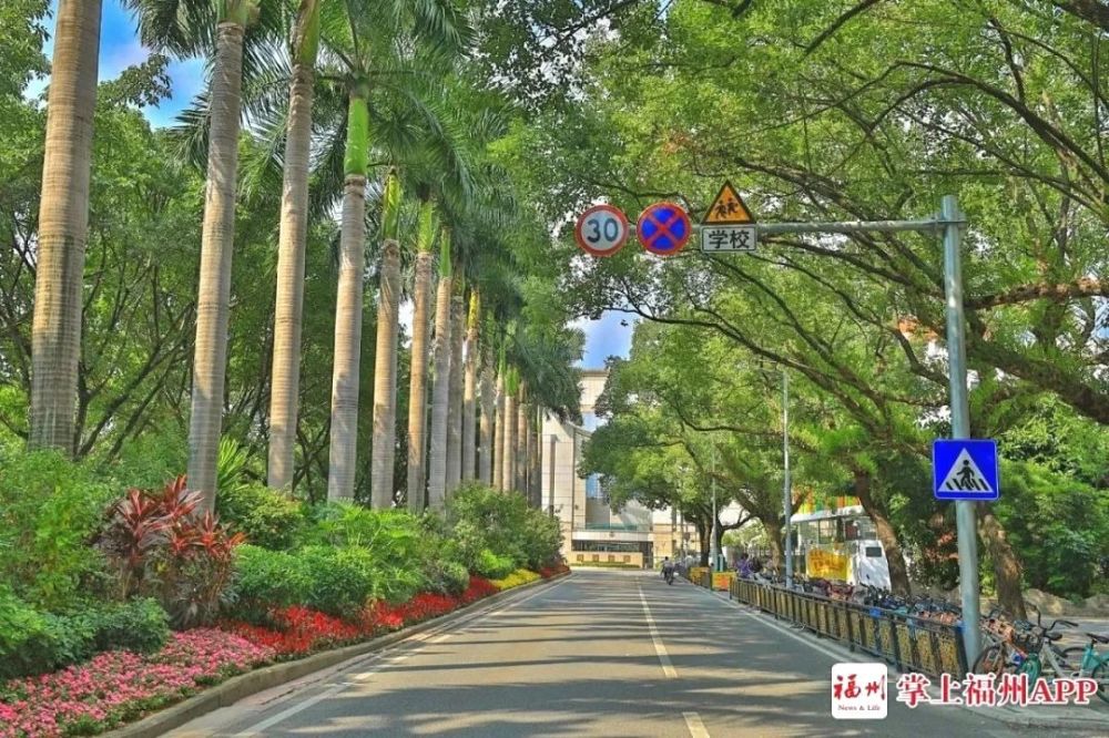 大道福马路林荫大道马尾区:儒江西路林荫大道儒江西路林荫大道福州