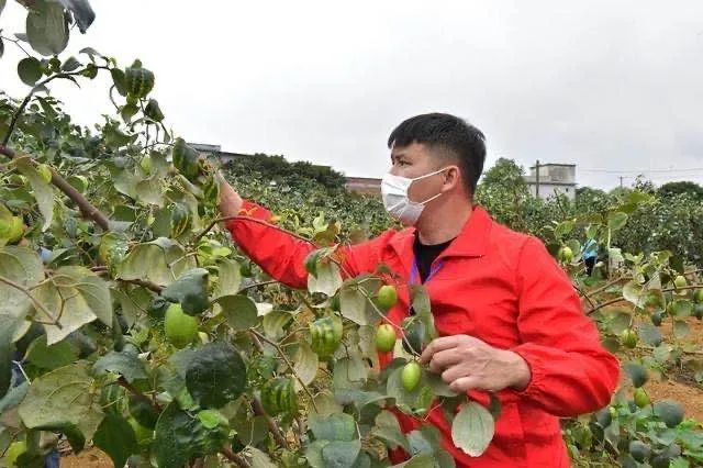 四新村人口_四间新村改造情况(2)
