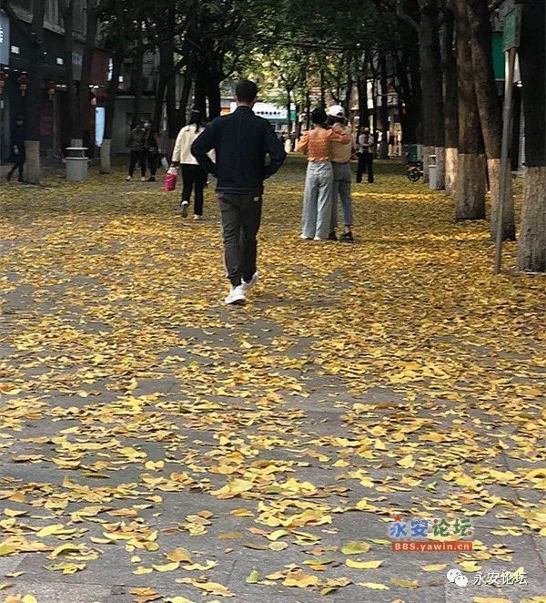 3.8节永安步行街唯美景致