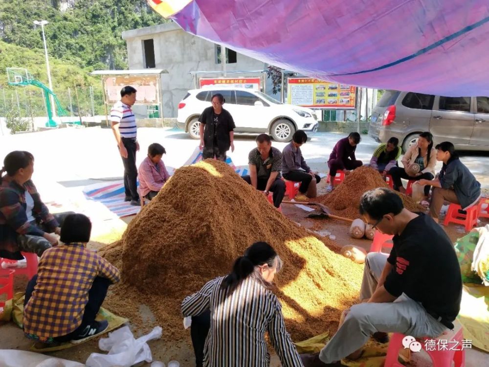 德保卖菇"李佳琦"黄冰川;敬德支援火神山医院的军队医护人员许文化