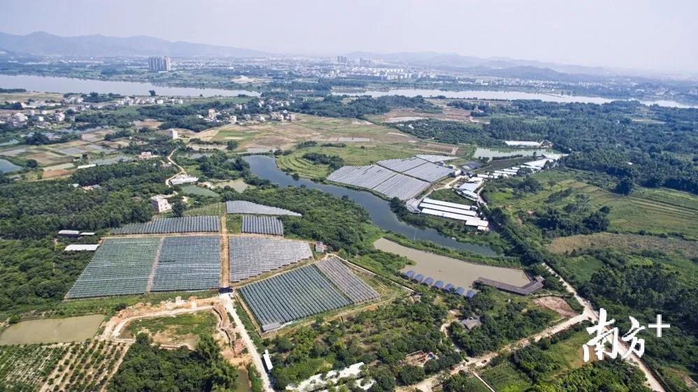 惠州源茵生态园获评国家3a级景区