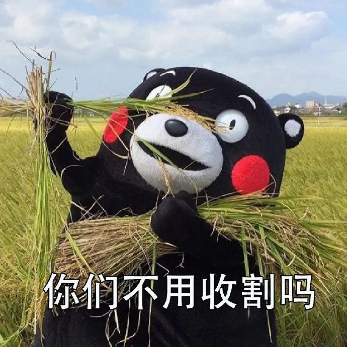 表情包:你们城里人一天到晚什么都不用干吗?
