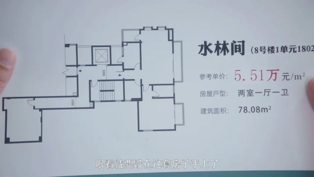 这不就是胡一菲的挖掘机户型吗