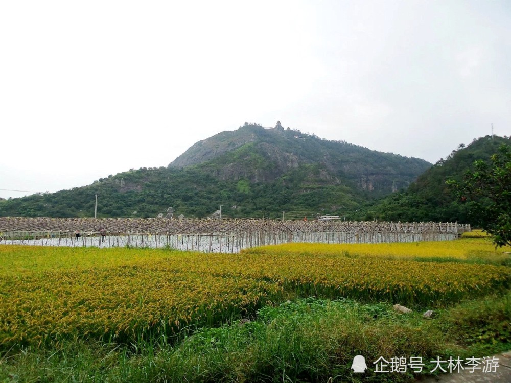 浙江之行素拍苍南藻溪奇景公婆石龙凤山下揽胜景