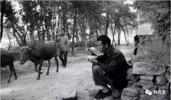 透过80后小时的记忆,90年代农村生活写照 重温"三农