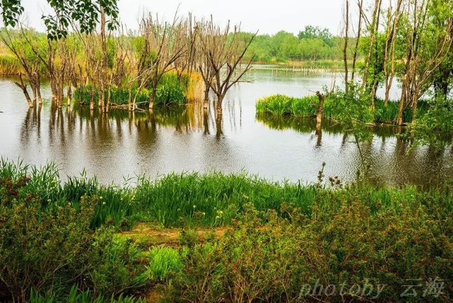 北辰绿洲湿地公园