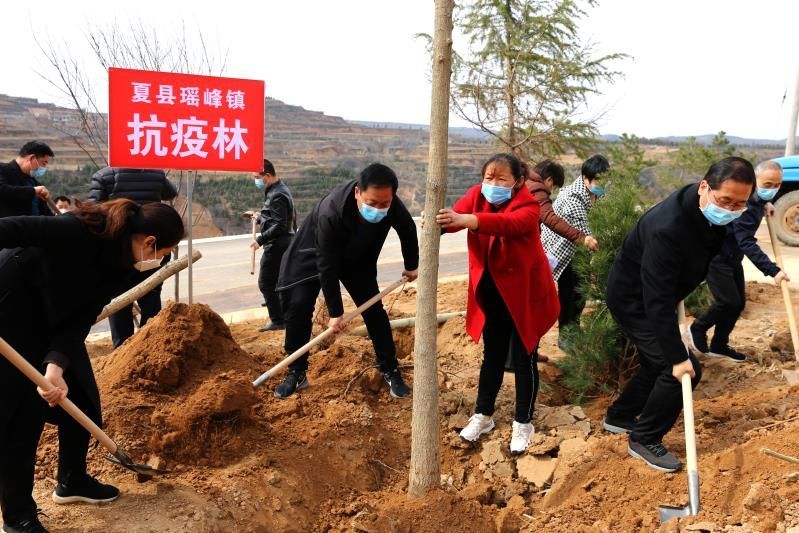 山西夏县瑶峰镇营造"抗疫林"