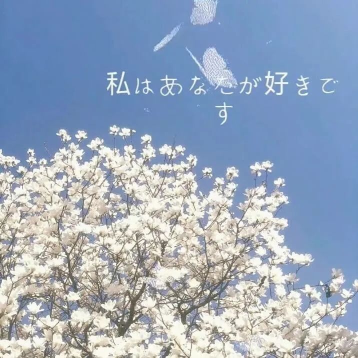 神仙级别朋友圈唯美背景图